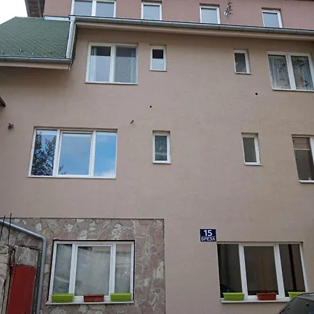 Viktor Apartament *
